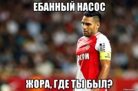 ебанный насос жора, где ты был?