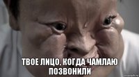  твое лицо, когда чамлаю позвонили