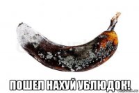  пошел нахуй ублюдок!