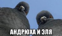  андрюха и эля