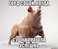 горд собой, когда сушка прошла успешно