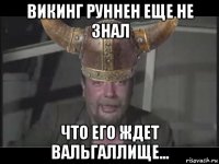 викинг руннен еще не знал что его ждет вальгаллище...