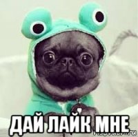  дай лайк мне