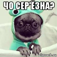 чо сер'ёзна? 