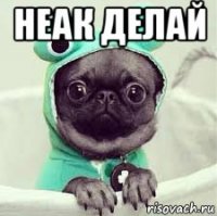 неак делай 