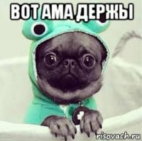 вот ама держы 