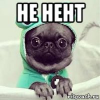 не нент 