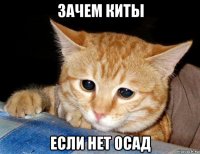 зачем киты если нет осад
