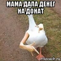 мама дала денег на донат 