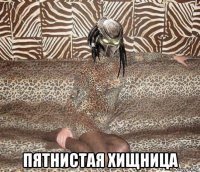  пятнистая хищница
