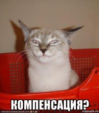  компенсация?