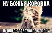 ну божья коровка ну иди сюда я тебя прихлопну