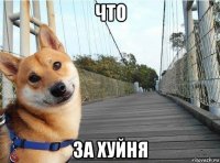 что за хуйня