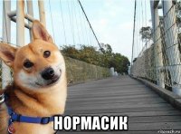  нормасик