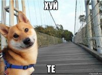 хуй те