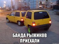  банда рыжиков приехали