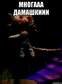 многааа дамашкиии 