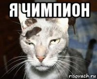 я чимпион 