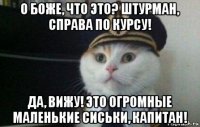 о боже, что это? штурман, справа по курсу! да, вижу! это огромные маленькие сиськи, капитан!