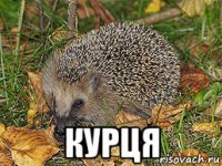  курця