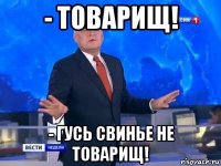- товарищ! - гусь свинье не товарищ!
