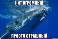 кит огромный просто страшный