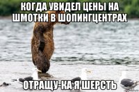 когда увидел цены на шмотки в шопингцентрах отращу-ка я шерсть