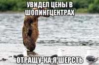 увидел цены в шопингцентрах отращу-ка я шерсть