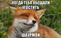 когда тебя обещали угостить шаурмой