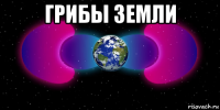 грибы земли 