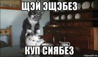 щэй эщэбез куп сиябез