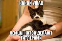 какой ужас немцы котов делают гитлерами