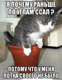 я почему раньше по углам ссал ? потому что у меня лотка своего не было