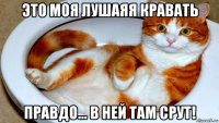 это моя лушаяя кравать правдо... в ней там срут!