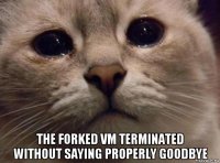  the forked vm terminated without saying properly goodbye