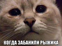  когда забанили рыжика