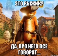это рыжик? да, про него все говорят...