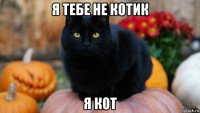 я тебе не котик я кот