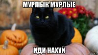 мурлык мурлые иди нахуй