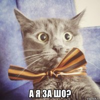  а я за шо?