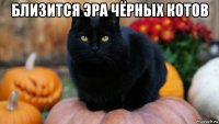 близится эра чёрных котов 