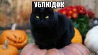 ублюдок 