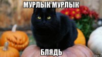мурлык мурлык блядь