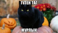 гутен таг мурлык