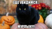 ещё увидимся... мурлык!!!