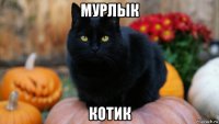 мурлык котик