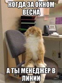 когда за окном весна а ты менеджер в линии