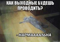 как выходные будешь проводить? 
