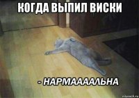 когда выпил виски 