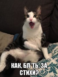  как, бл*ть, за стихи?